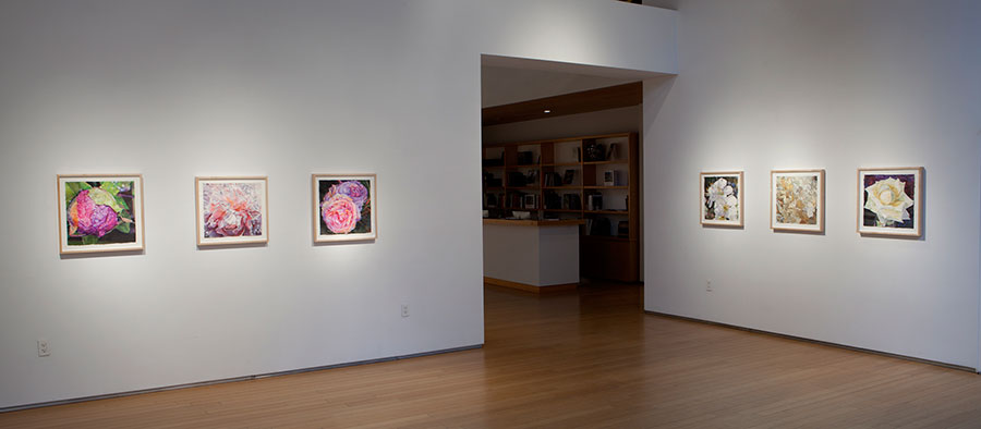 2017 Exhibition at the Nancy Hoffman Gallery