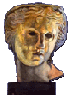 head