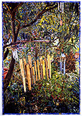 2002