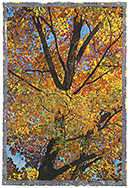 Autumn II - watercolor on paper painting by Joseph Raffael