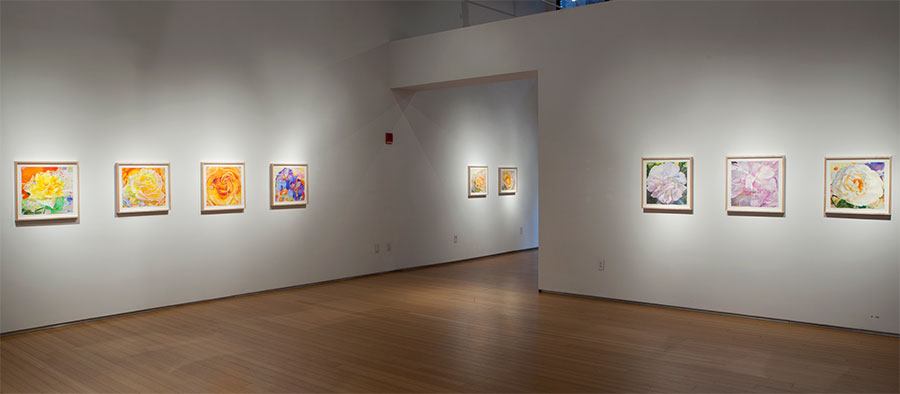 2017 Exhibition at the Nancy Hoffman Gallery