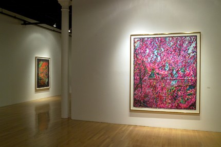 Joseph Raffael 2005 Exhibition at the Nancy Hoffman Gallery