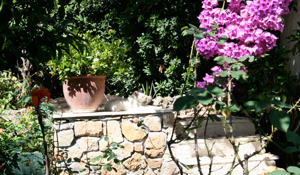 Garden Walk outside the painting Studio of Joseph Raffael at Cap d'Antibes