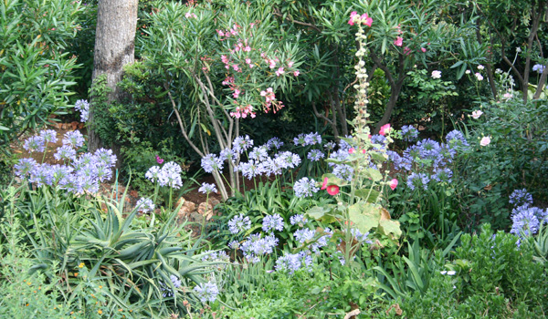 Garden Walk outside the painting Studio of Joseph Raffael at Cap d'Antibes