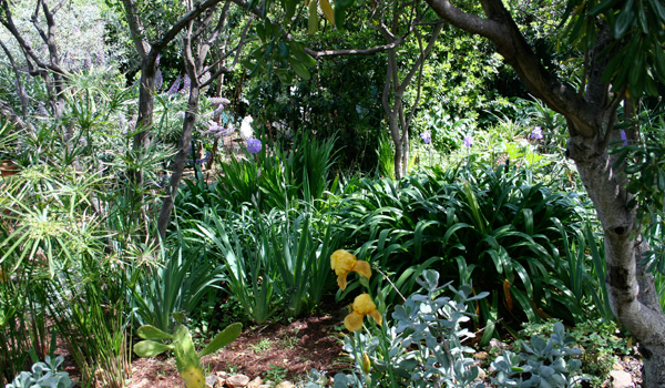 Garden Walk outside the painting Studio of Joseph Raffael at Cap d'Antibes