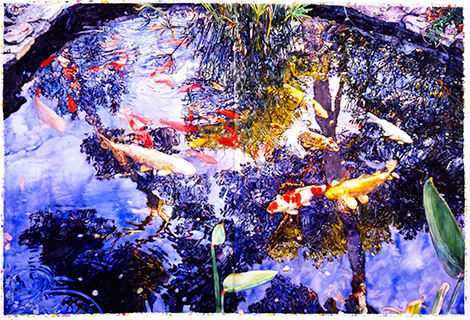 Pond, watercolor on paper by Joseph Raffael Pond, watercolor on paper by Joseph Raffael