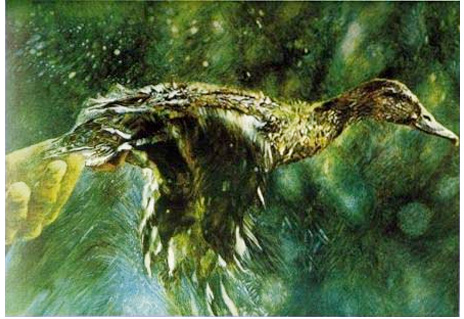 Release, Oil on Canvas by Joseph Raffael Release, Oil on Canvas by Joseph Raffael