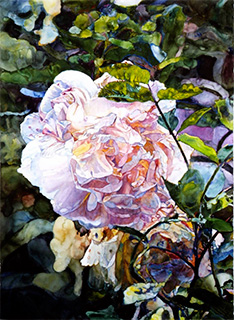 Roses Reverie, watercolor on paper by Joseph Raffael Roses Reverie, watercolor on paper by Joseph Raffael