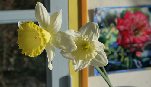 Glimpses of the painting studio of Joseph Raffael